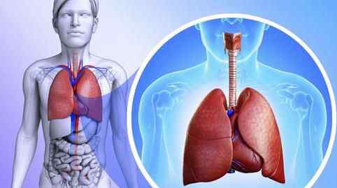 肺癌靶向治疗一个月多少钱 肺癌治疗费用一般是多少