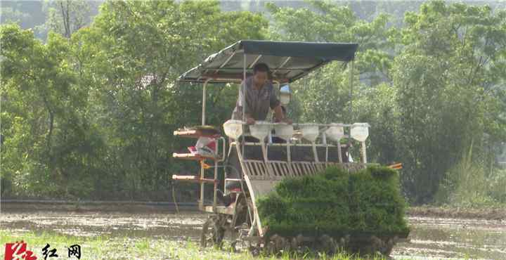 靖州新闻网 靖州：农机安责险 为农机手撑起安全“保护伞”