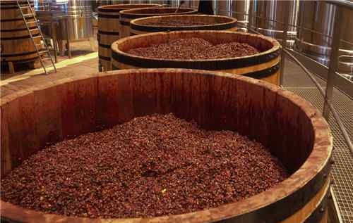 葡萄籽的作用 葡萄籽的功效与禁忌 葡萄籽的适用人群