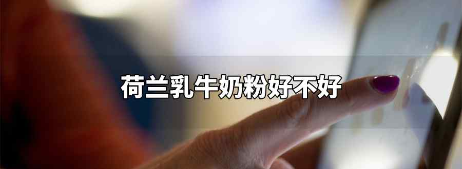 荷兰乳牛奶粉好不好