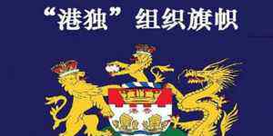国家打击港独 北京这手干得太漂亮 香港彻底稳了！