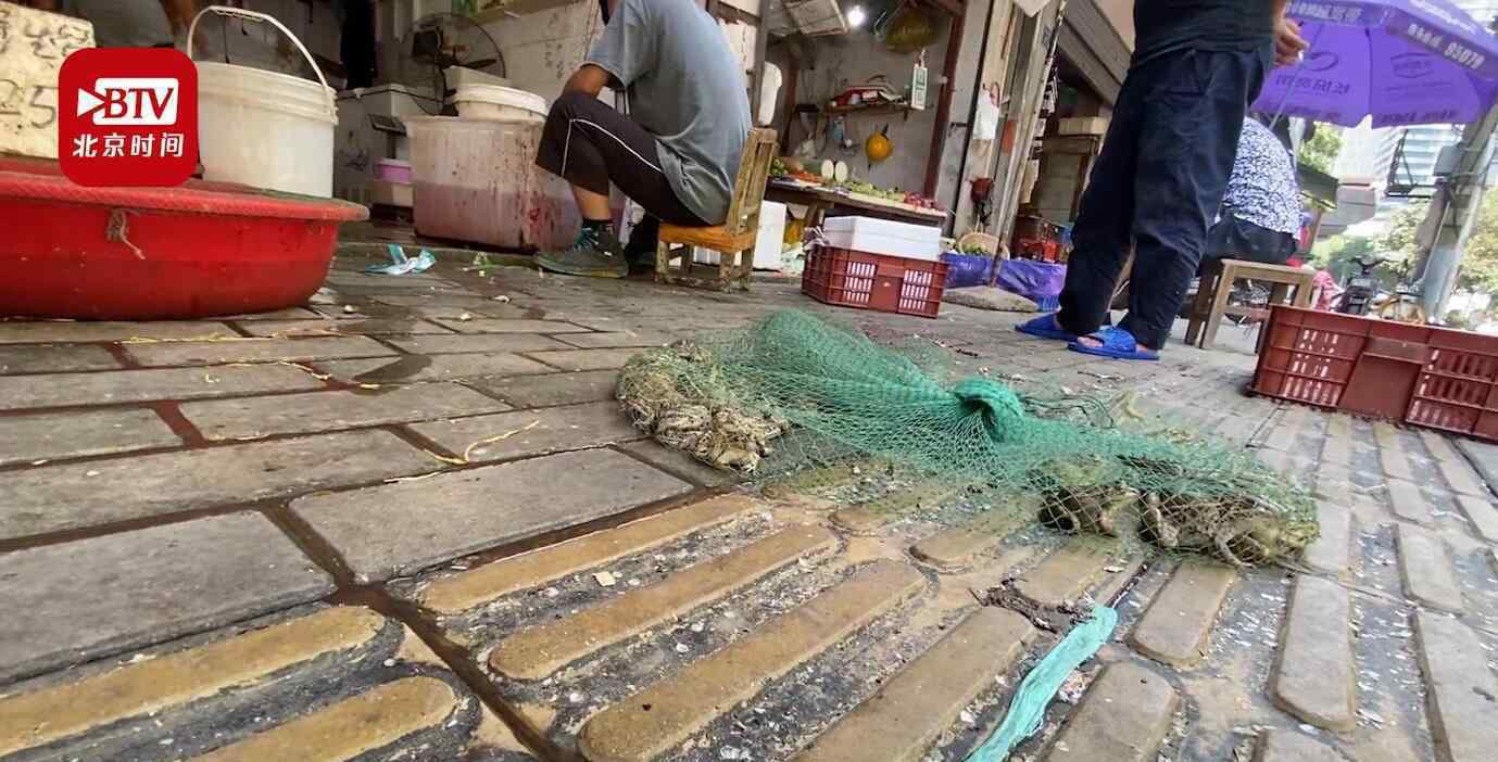 武汉菜场商户明目张胆卖野生青蛙 为什么要这样做