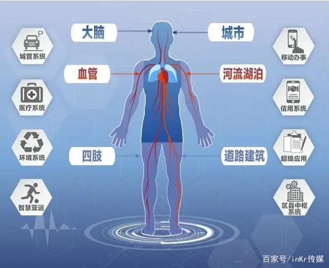 中国大脑 今天我们来认识中国最“聪明”的大脑