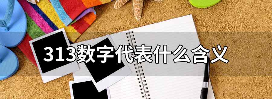 313数字代表什么含义