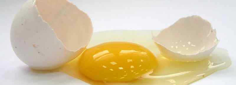 1个蛋清含多少克蛋白质