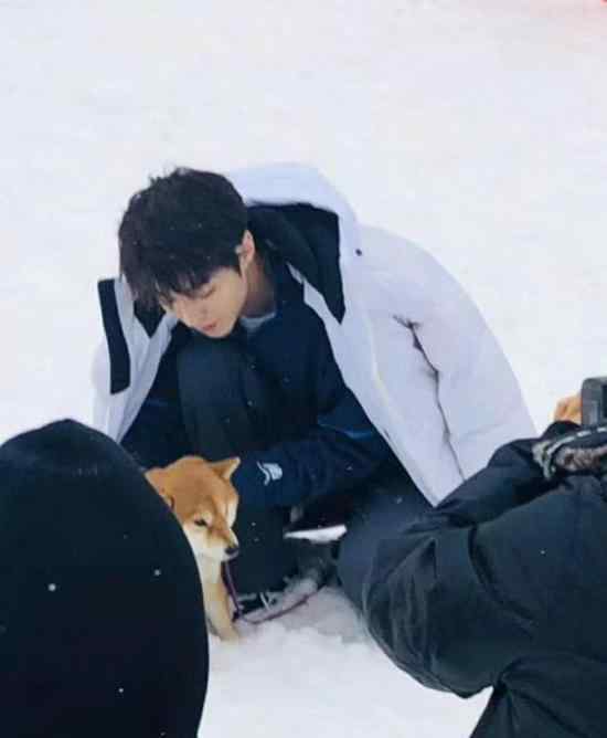 滑雪场偶遇王俊凯 什么情况王俊凯在滑雪场干什么