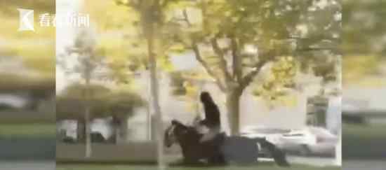 男子骑马追尾轿车什么情况骑马追尾具体怎么回事
