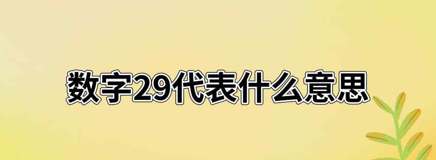 29数字代表什么意思