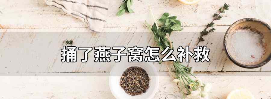 捅了燕子窝怎么补救