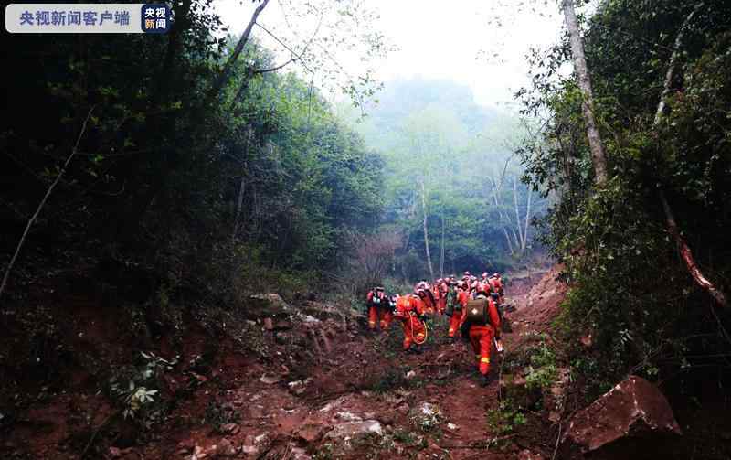 云南禄劝发生森林火灾 共投入301人参与扑救 究竟发生了什么?