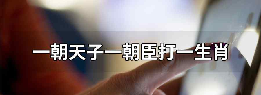 一朝天子一朝臣打一生肖
