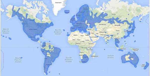 谷歌街景地图 全球 50 多个国家的 Google 街景地图都是怎么拍的？