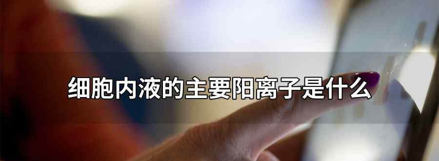 细胞内液的主要阳离子是