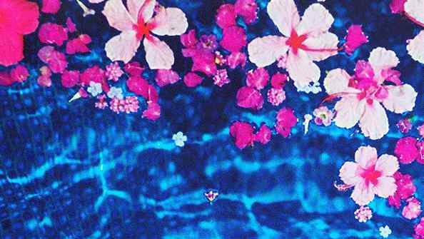 partical 上海环球港【花花万物·沉浸式艺术互动展】