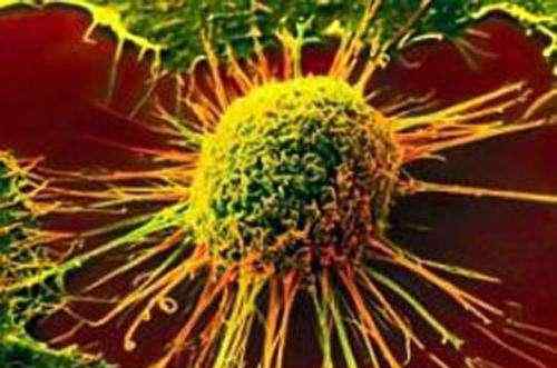 ert 晚期癌症有救了，美科学家研发新药ulixertinib，临床实验成功！