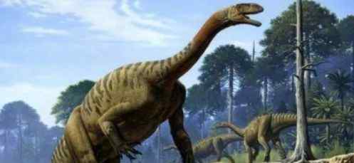 巨型恐龙骨头有什么用 【考古】在蒙古戈壁发现了科学史上前所未有的巨型恐龙骨骼