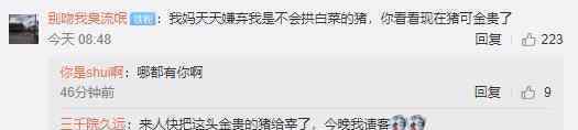 全国猪价地图出炉 来看看各地的猪价是多少?