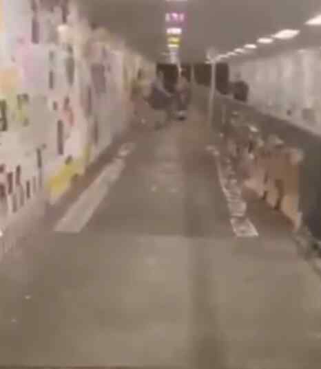 香港导游报复示威者 隧道中砍伤三人被警方拘捕
