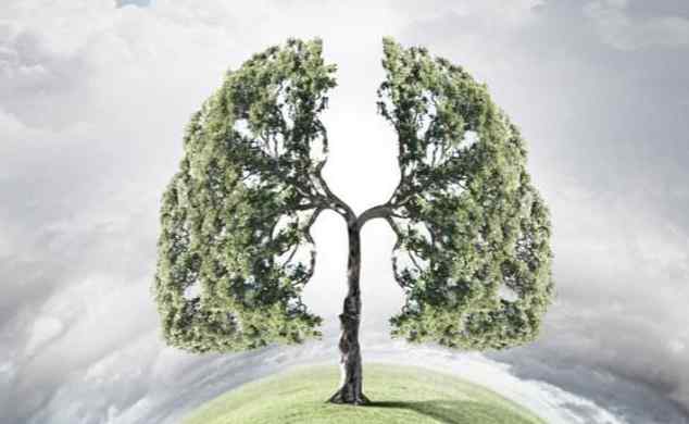 辨别肺里和咽喉的血 高允旺：肺癌咳嗽和咽炎咳嗽是有区别的，注意鉴别