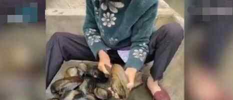 92岁外婆带83岁奶奶摸河蚌 究竟是怎么回事