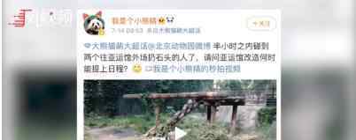 北京动物园熊猫被砸是怎么回事?动物园方面回应了吗?