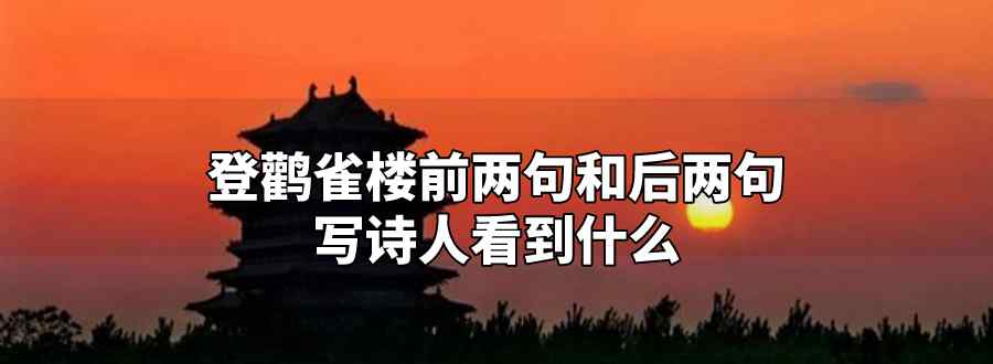 登鹳雀楼前两句和后两句写诗人看到什么