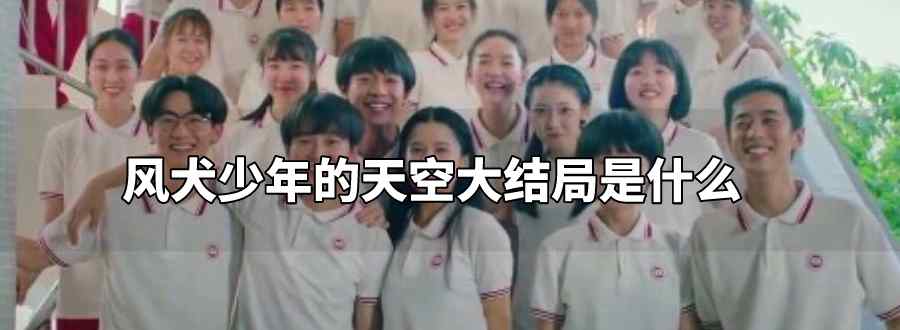 风犬少年的天空大结局是什么