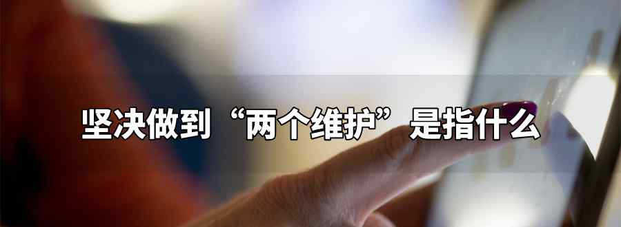 坚决做到两个维护是指
