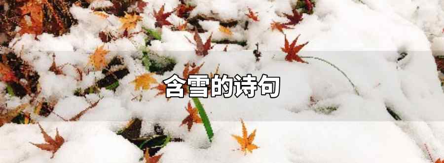 含雪的诗句
