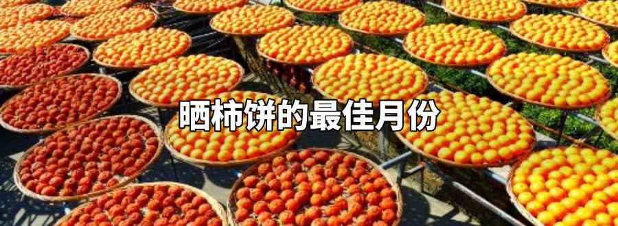 晒柿饼的最佳月份