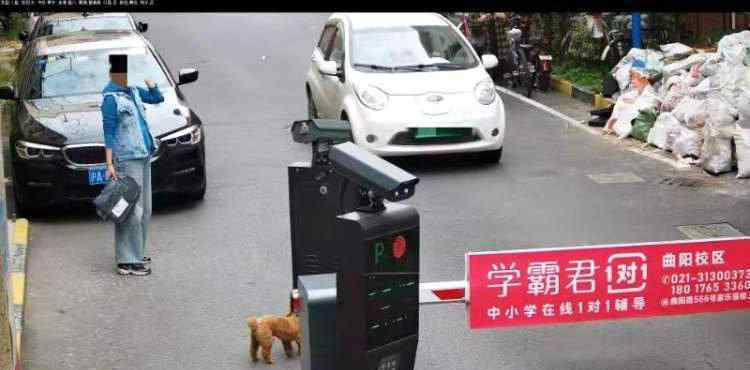 上海不牵绳遛狗将被抓拍处罚 事情的详情始末是怎么样了！