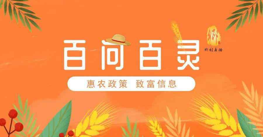 鸡蛋孵化小鸡的过程 小鸡孵化过程中还需要照蛋？