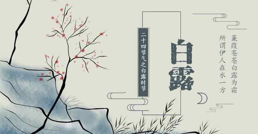 墨胸胡蜂 精灵之约•节气“植”说│上海植物园：上海的二十四节气花园•白露