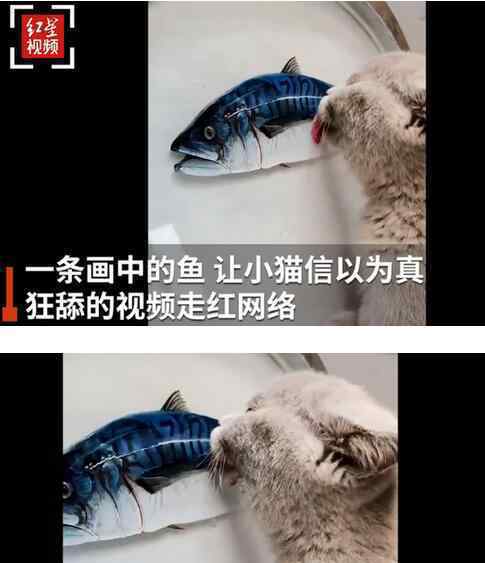 小伙创作3D树脂鱼馋得猫舔盆子 事件的真相是什么？