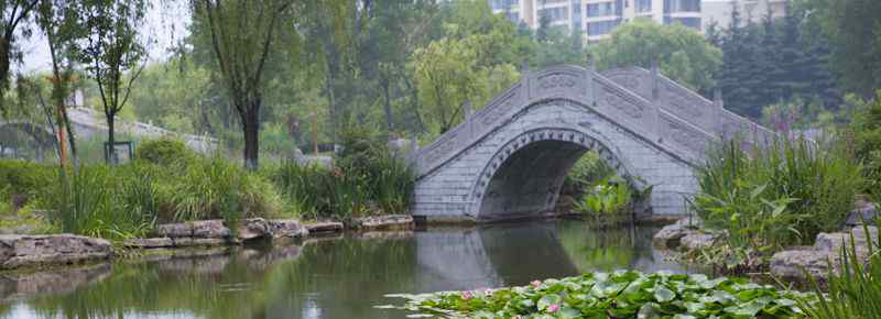 楼兰是哪里