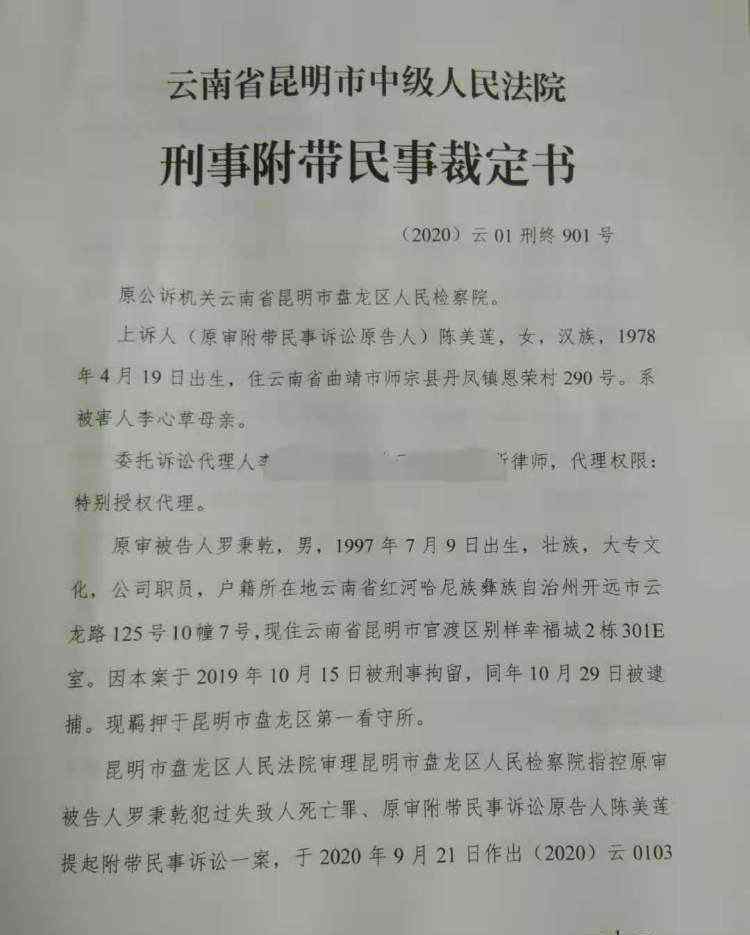 李心草溺亡案维持原判 还原事发经过及背后真相！