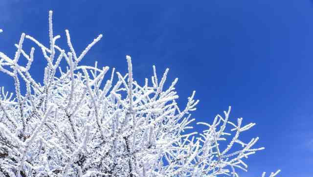 秦岭太白山雪后雾凇美景 真相原来是这样！