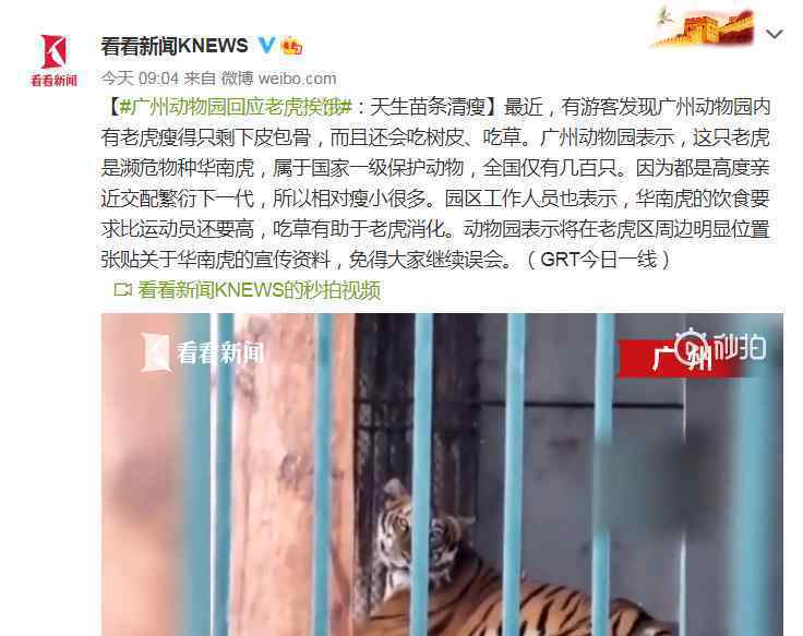 广州动物园回应老虎挨饿 过程真相详细揭秘！