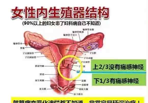 女性妇科 为什么中国女性妇科疾病发病率居全球首位？