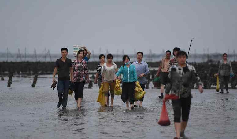 油蛤 油蛤养殖基地遭2000人哄抢 损失20万