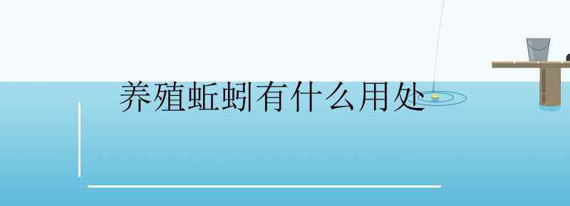 养殖蚯蚓有什么用处