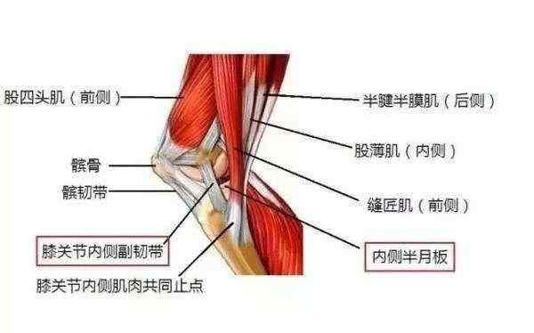 膝盖韧带损伤怎么办 膝关节韧带损伤是怎么回事？如何治疗效果好？