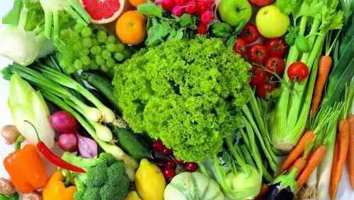 洋白菜价格 重点蔬菜每日参考价格