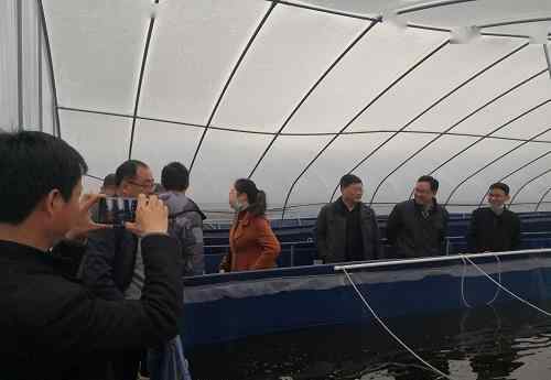 吴霆 江苏省扬州市宝应县“吴霆名师工作室”负责人吴霆调研泾河镇小龙虾养殖基地