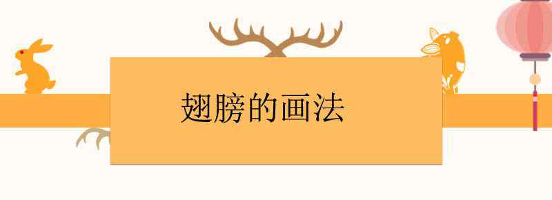 翅膀的画法