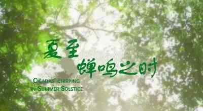 蝉鸣之时 【888剧场】 悬疑青春剧#夏至蝉鸣之时#，明天下午两点首播！