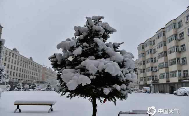 内蒙古呼伦贝尔四月飘雪 究竟是怎么一回事?