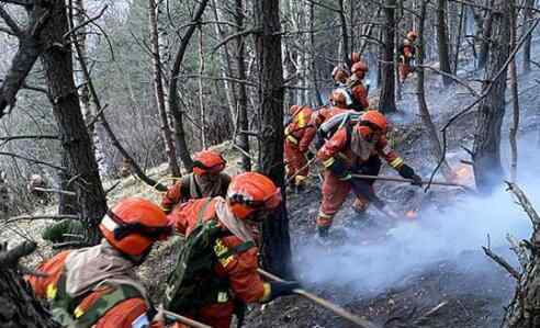 五台山森林火灾 背后真相实在太吓人了
