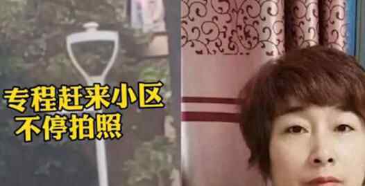 杭州女子离奇失踪十几天 小区内随后一幕让保安邻居全怒了到底是什么原因？