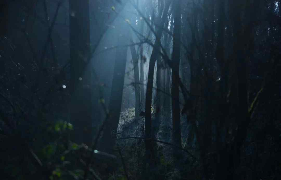 人生观与价值观 人生观和价值观（中）